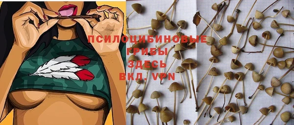 ALPHA-PVP Армянск