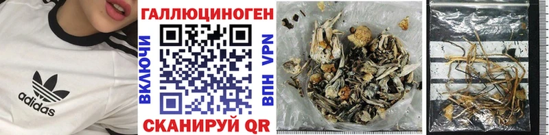 Псилоцибиновые грибы мицелий  где купить наркотик  Ясный 